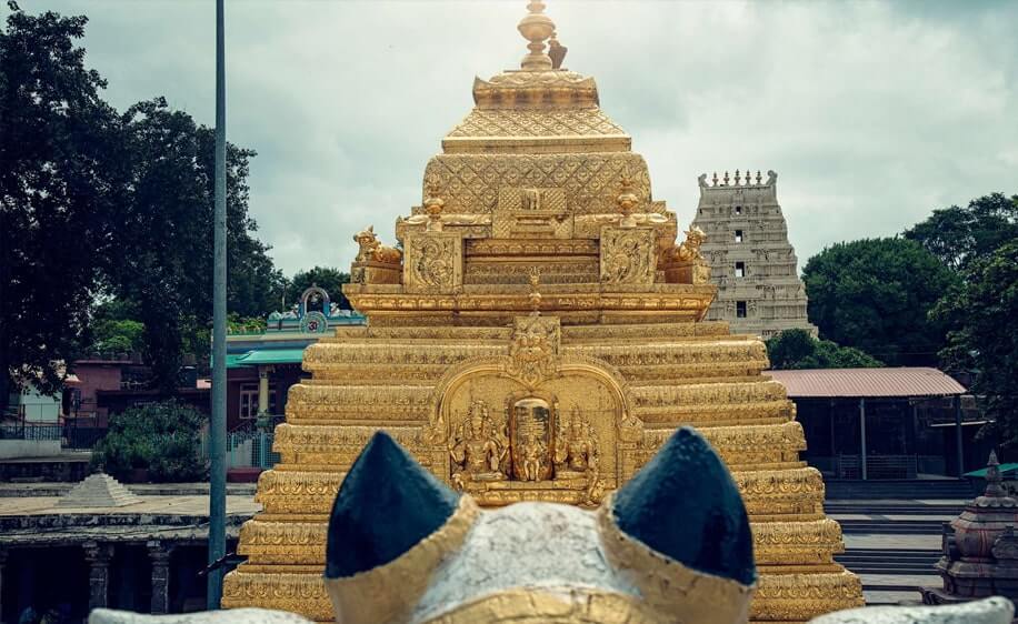 Mallikarjun